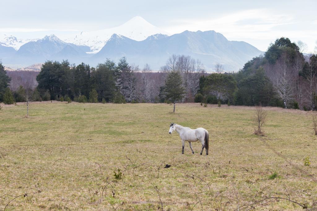 Casa De Campo Buenavista Pucón Eksteriør bilde