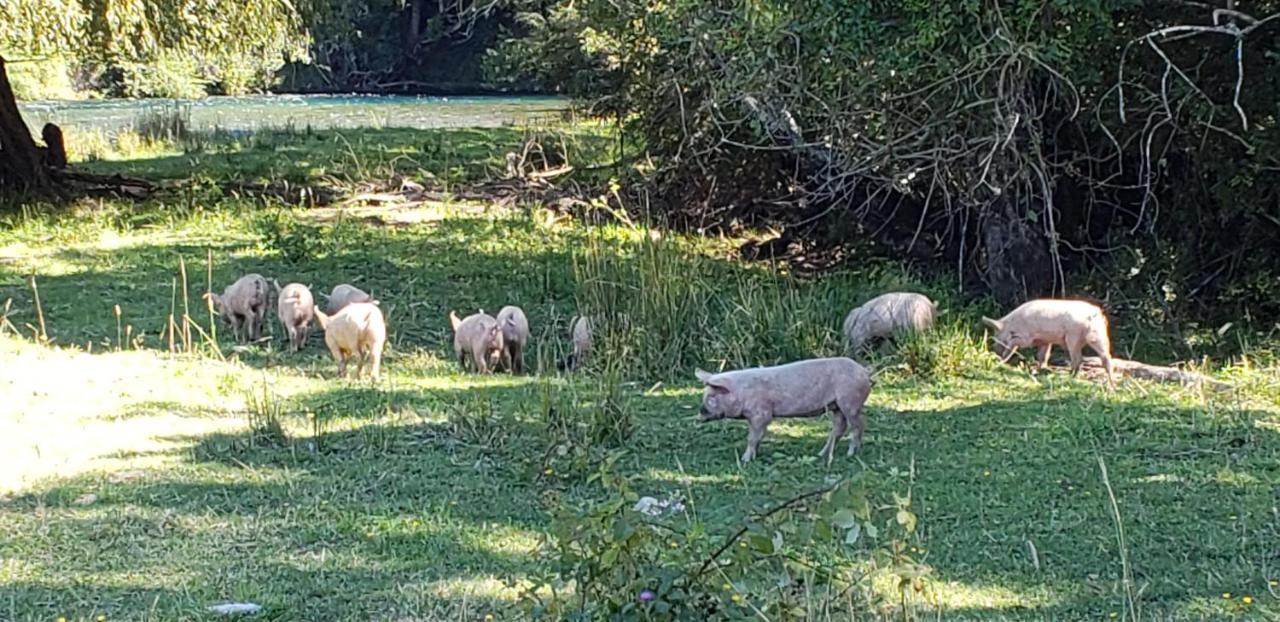 Casa De Campo Buenavista Pucón Eksteriør bilde